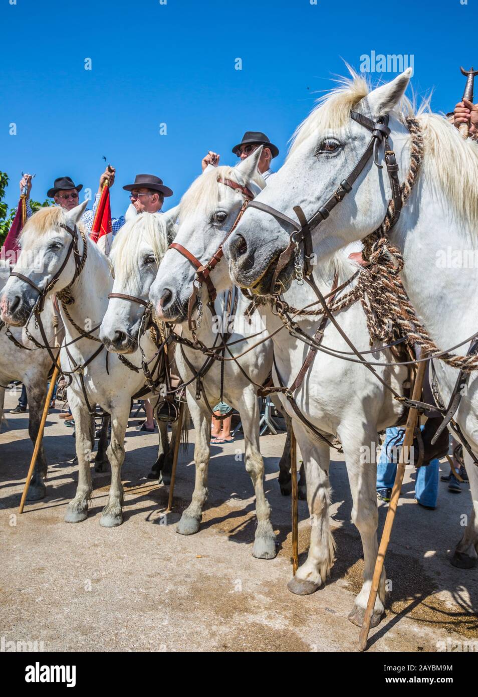 World Gypsy Festival Stock Photo Alamy