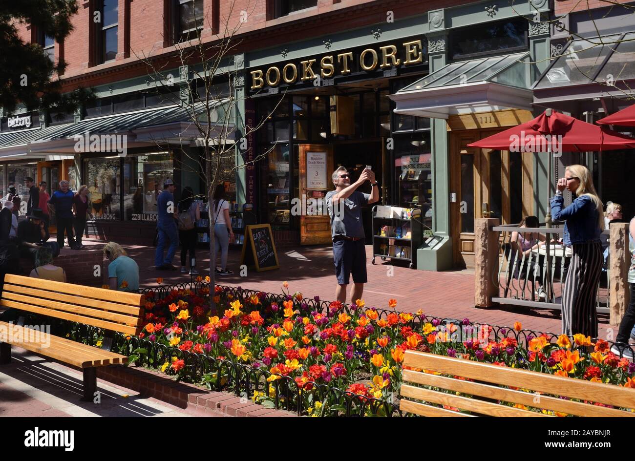 Thousands of blooming tulips on Pearl Street Mall is a spring tradition in Boulder, Colorado Stock Photo
