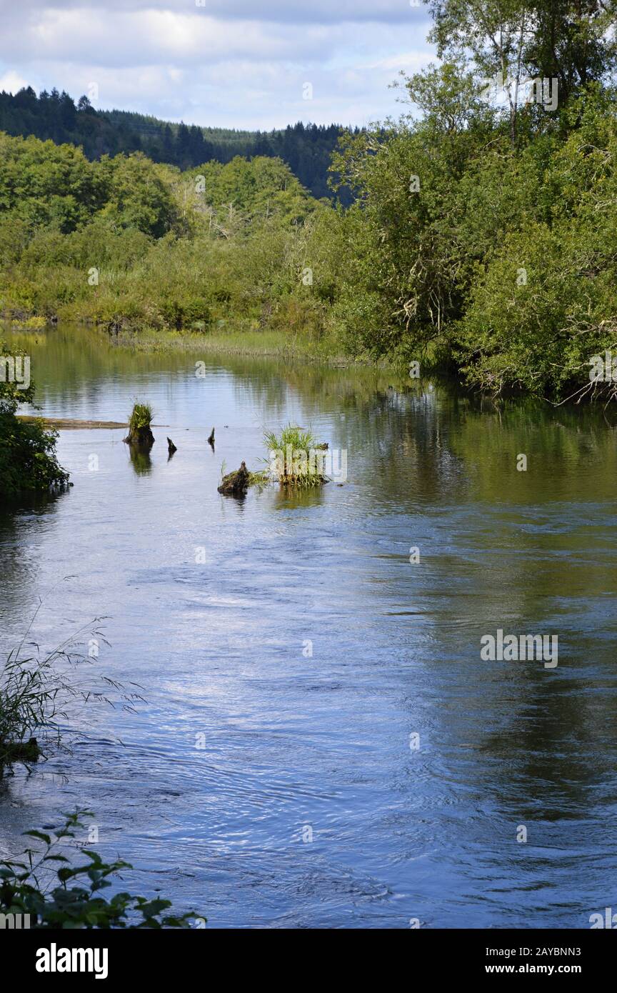 Olympic Peninsula, Washington Stock Photo Alamy