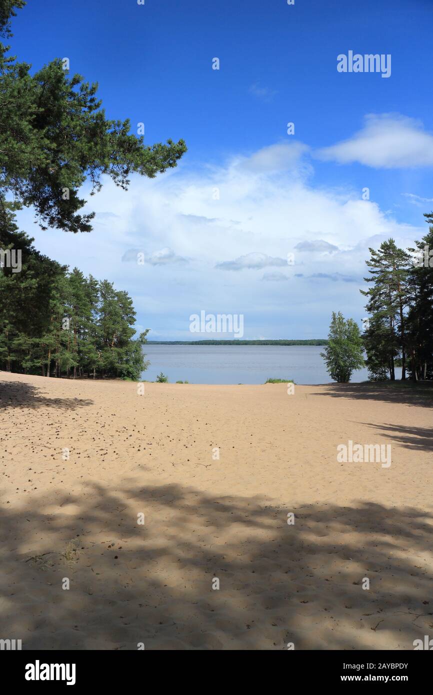 Beautiful beach by the forest lake Stock Photo