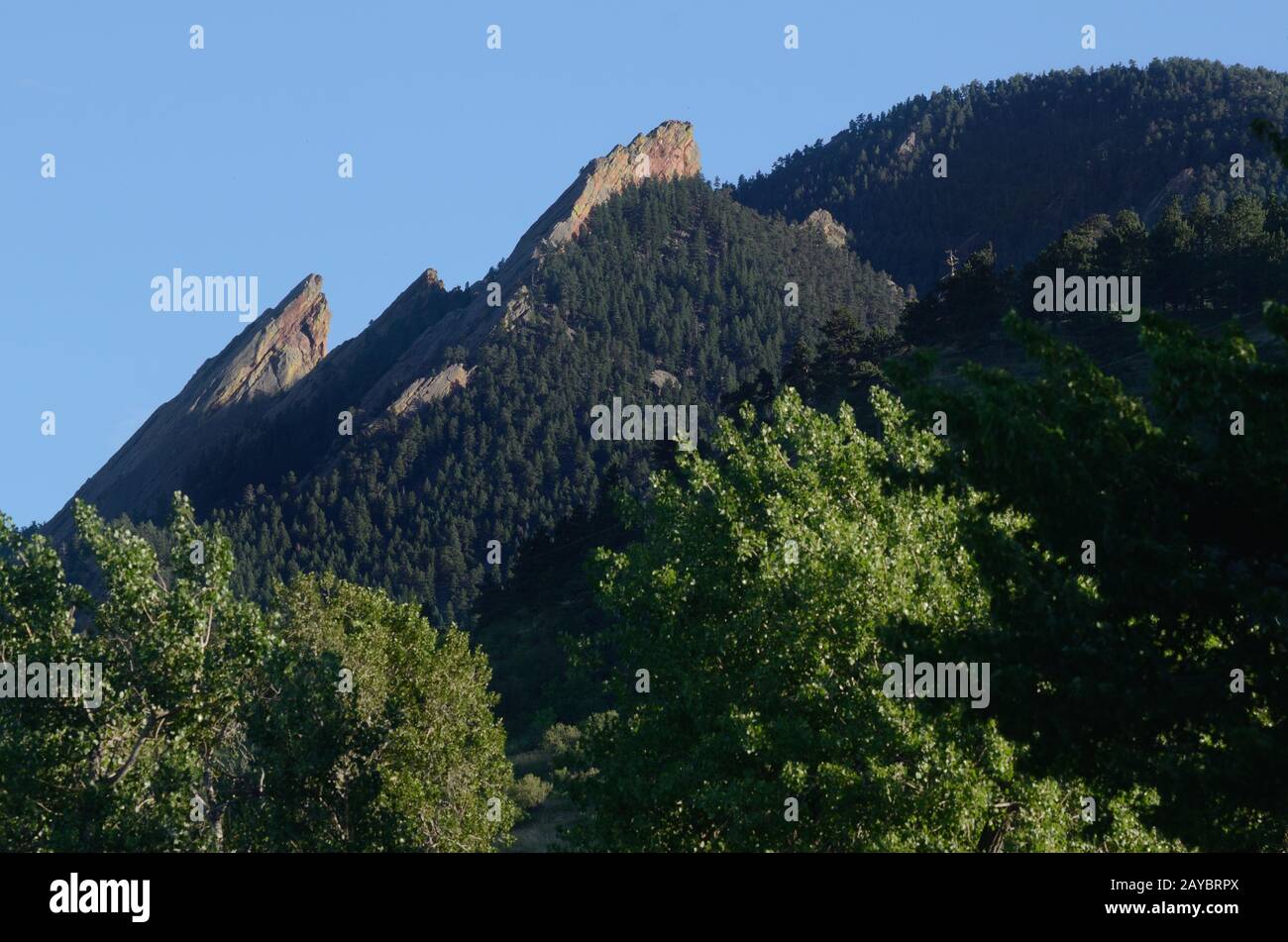 Flatirons from the North side. Evening Stock Photo