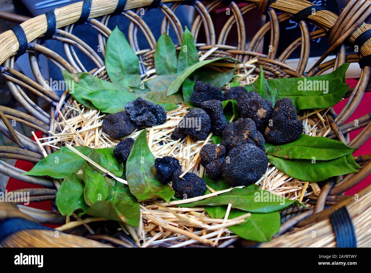 Black truffles Stock Photo