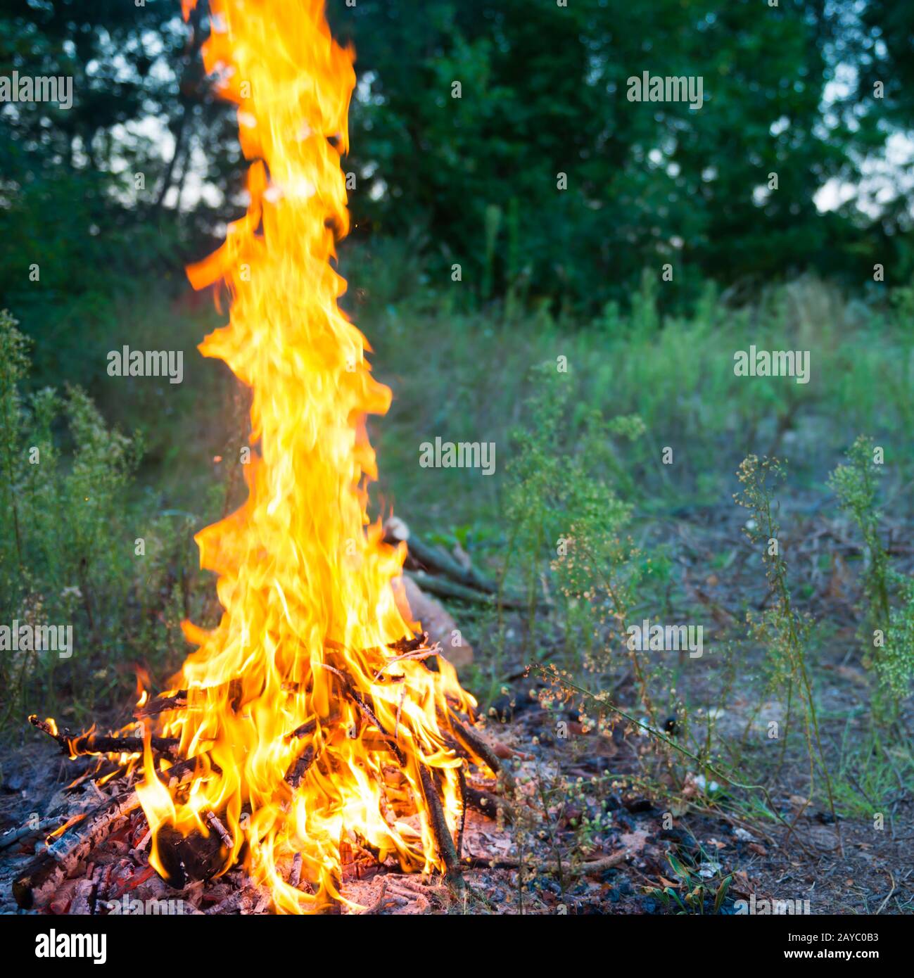 Bonfire in the forest Stock Photo - Alamy