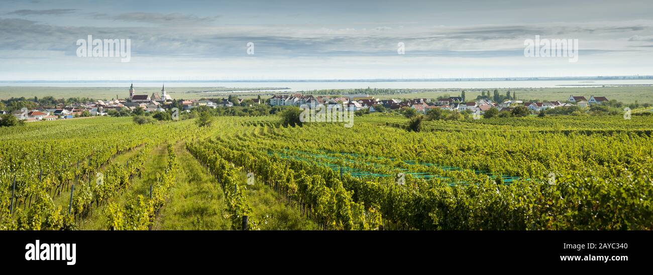 Neusiedlersee village of Rust am See with vineyards and lake in Austria Stock Photo