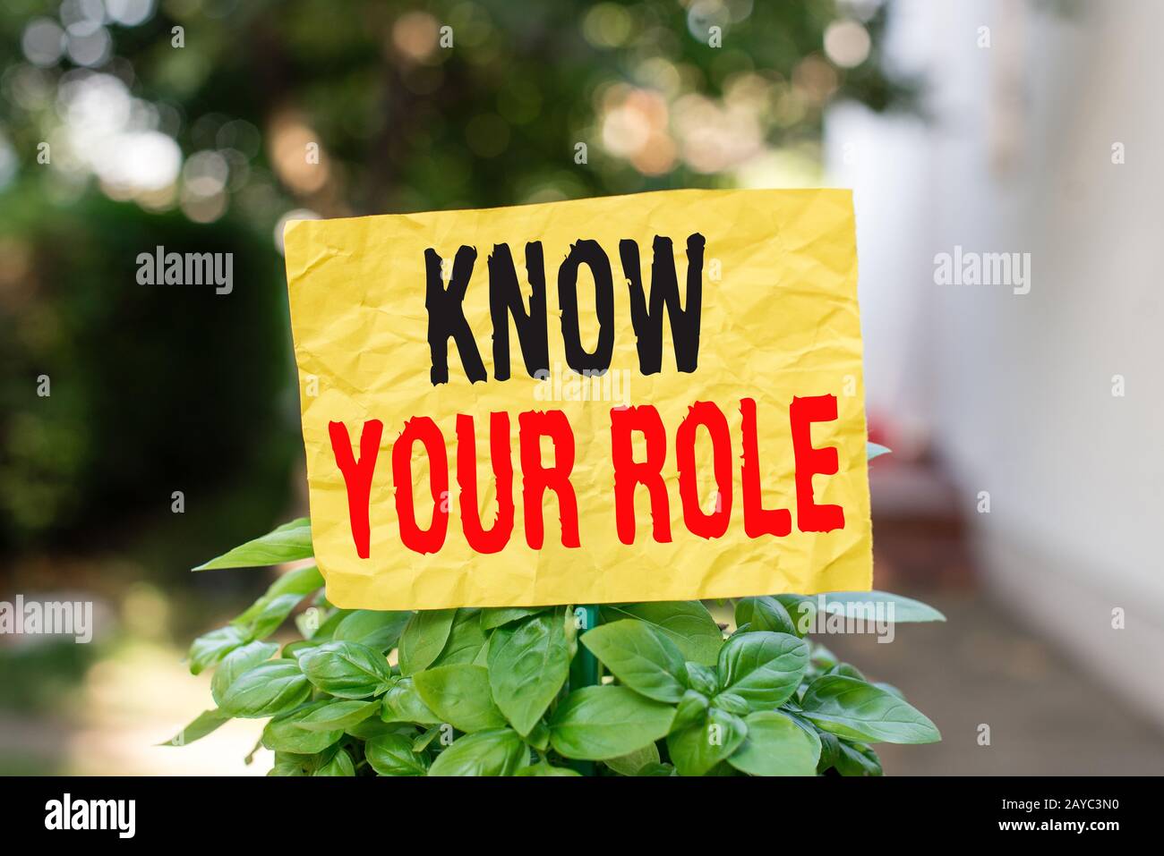 Word writing text Know Your Role. Business concept for end acting outside who you actually are Play your position Plain empty pa Stock Photo