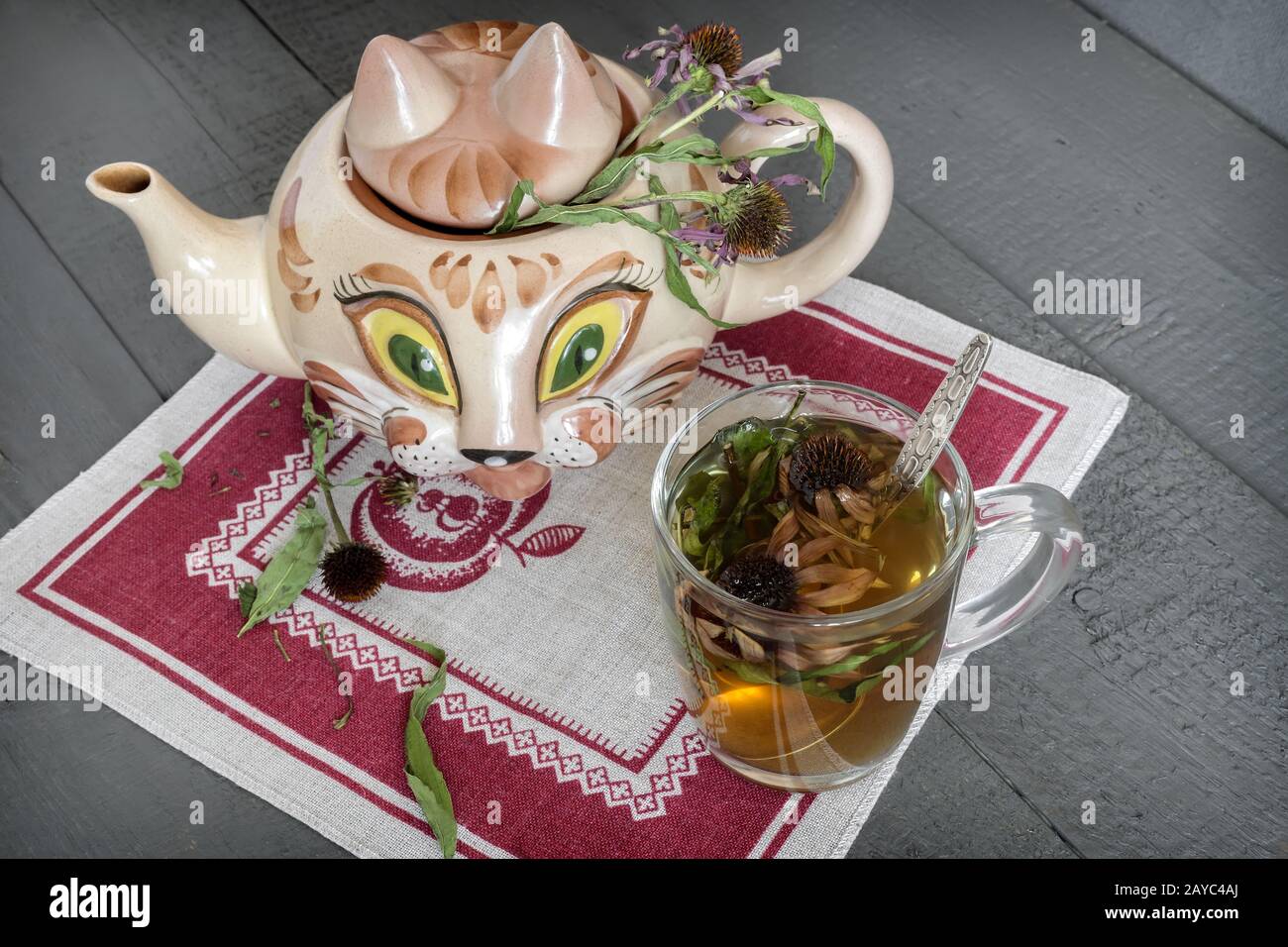 Herbal tea with the medicinal plant Echinacea Stock Photo Alamy