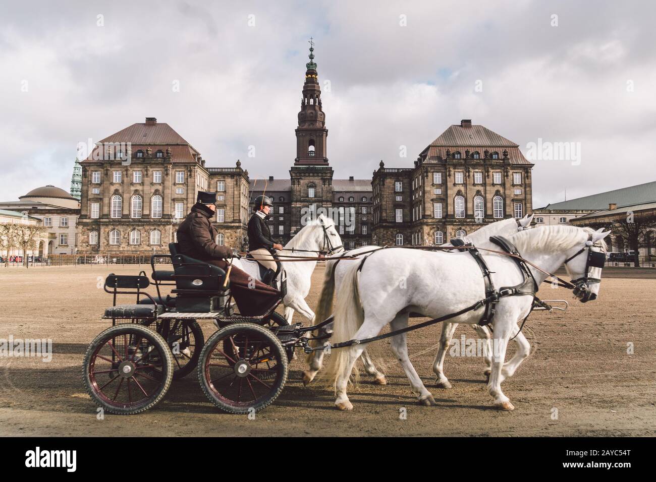 February 20, 2019. Military officer training two white horses from royal stables in front. Horses and cart with rider at Christi Stock Photo