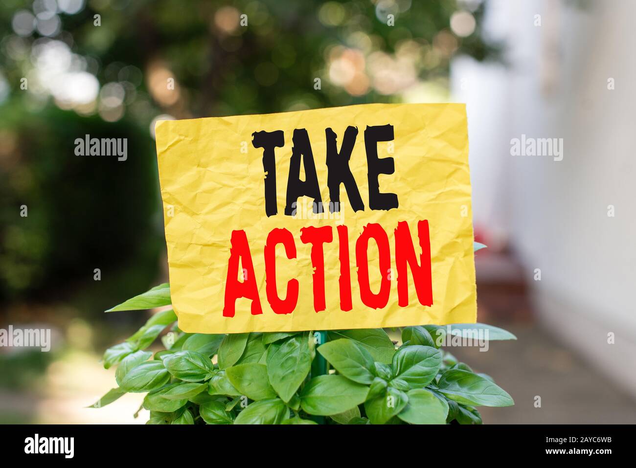 Word writing text Take Action. Business concept for to do somethingoract in order to get a particular result Plain empty paper a Stock Photo