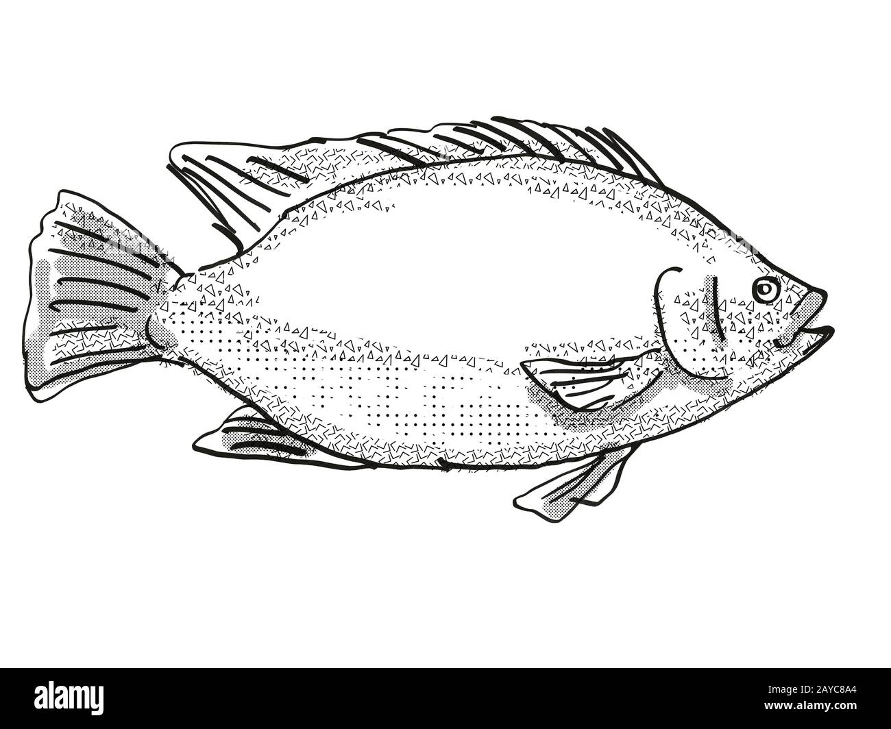 Vector Hand Drawn Lavender Fish Illustration. Stock Vector - Illustration  of collection, design: 141654329