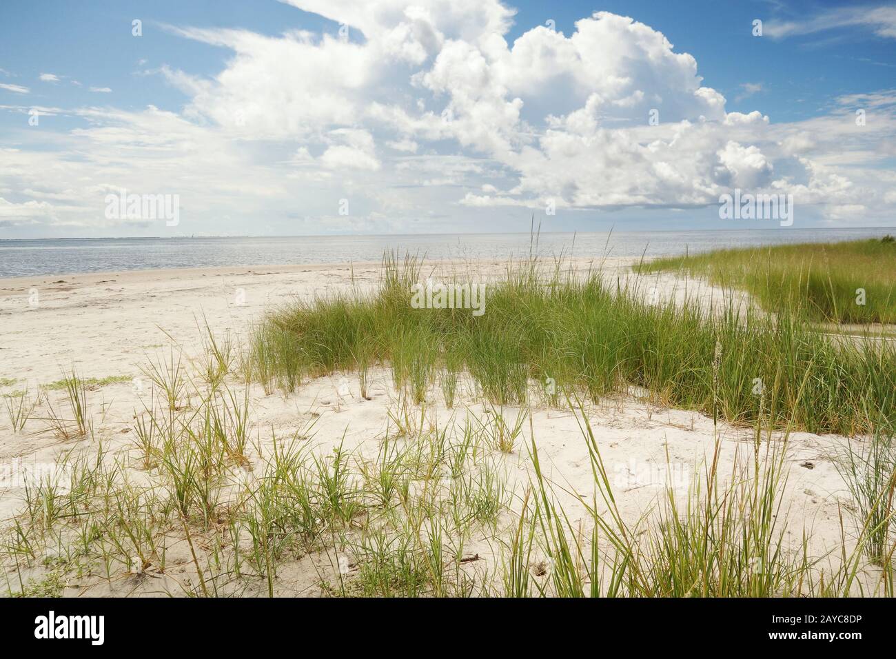 Pamlico Sound beach of the North Carolina Outer Banks Stock Photo