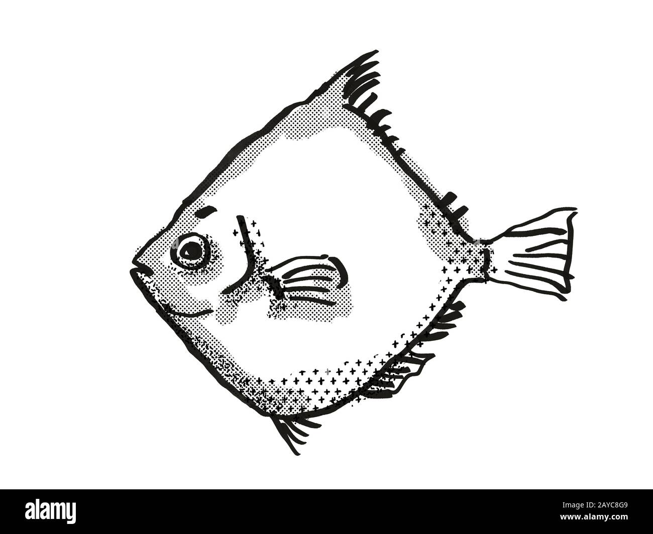 Rosy Deepsea Boarfish Australian Fish Cartoon Retro Drawing Stock Photo