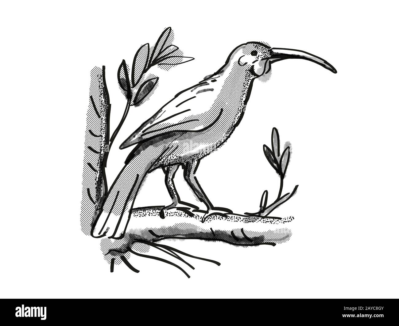 Bird Line Drawing High Resolution Stock Photography and Images Alamy