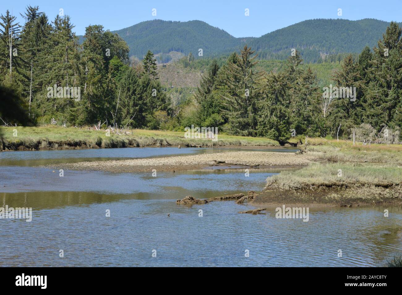 Olympic Peninsula, Washington Stock Photo Alamy