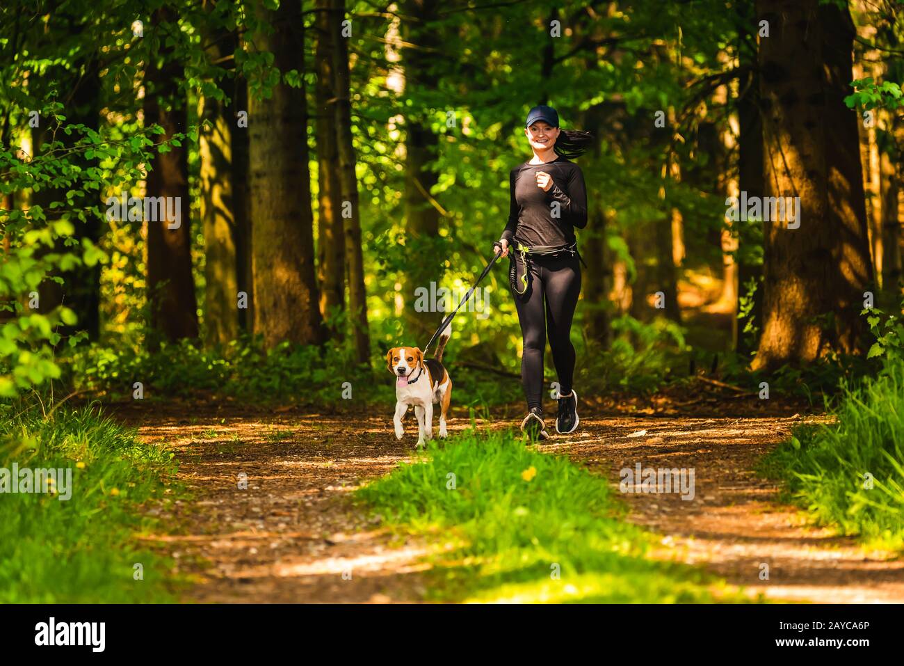 Girl is running with a dog (Beagle) on a leash in the spring time, sunny day in forest Stock Photo