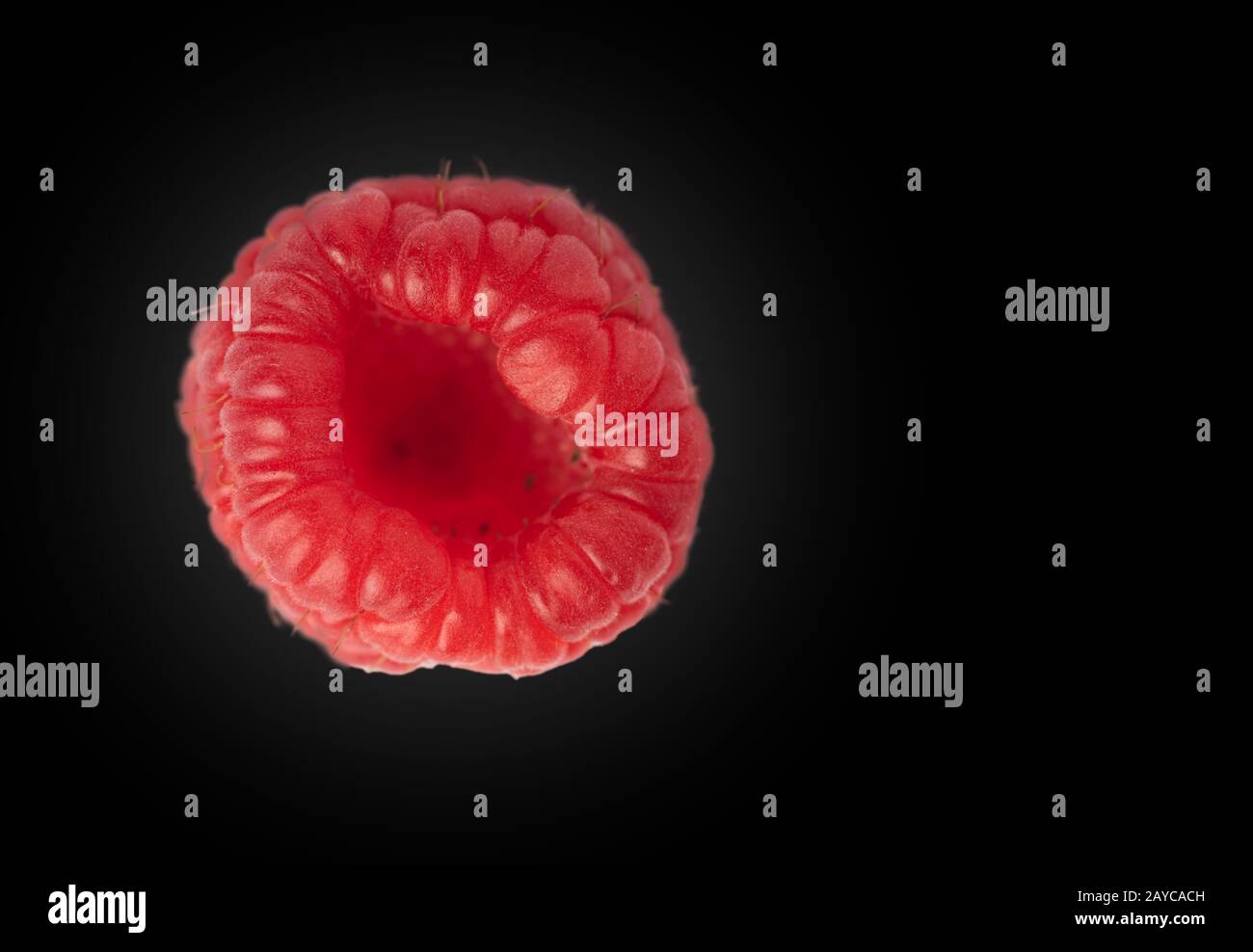 Raspberry. Raspberry isolated. Raspberry on black background on left ...