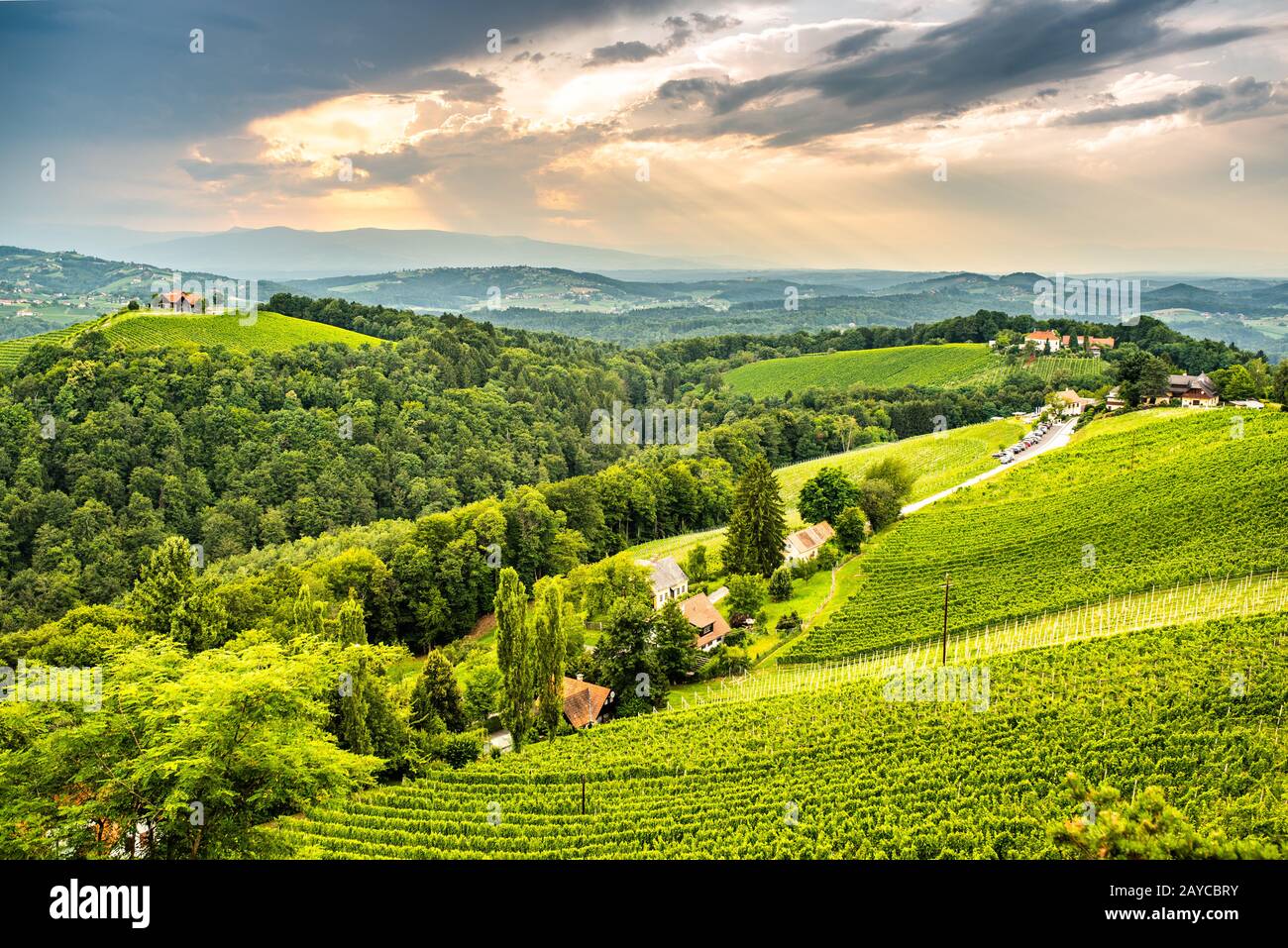 Vineyards in south styria in Austria. Landscape of Leibnitz area from Kogelberg. Stock Photo