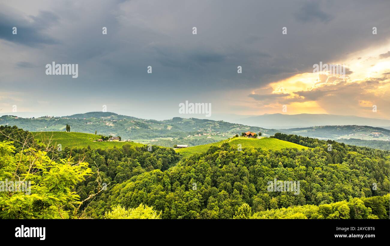 Vineyards in south styria in Austria. Landscape of Leibnitz area from Kogelberg. Stock Photo