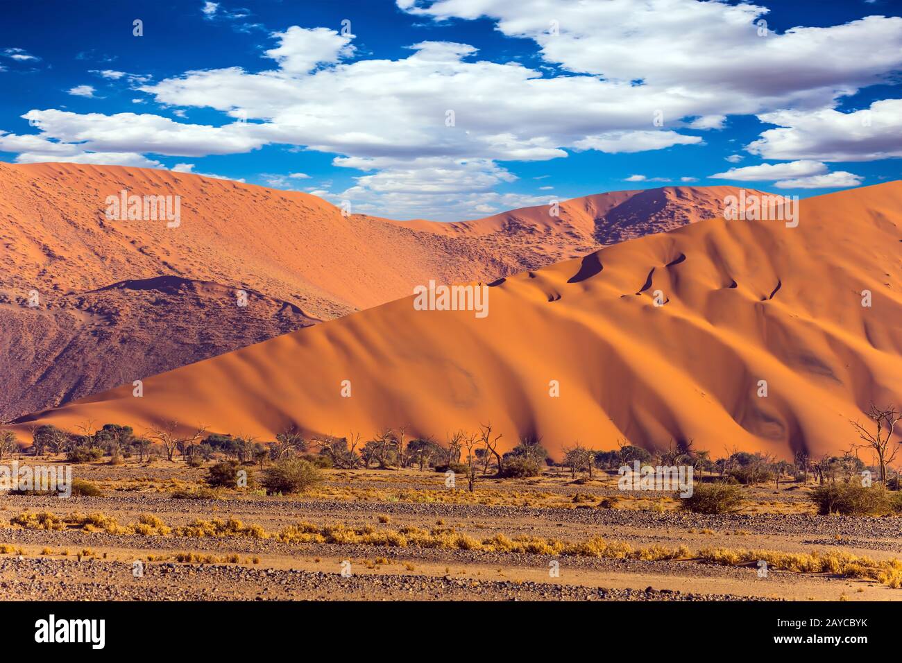 The most ancient Namib Desert Stock Photo - Alamy