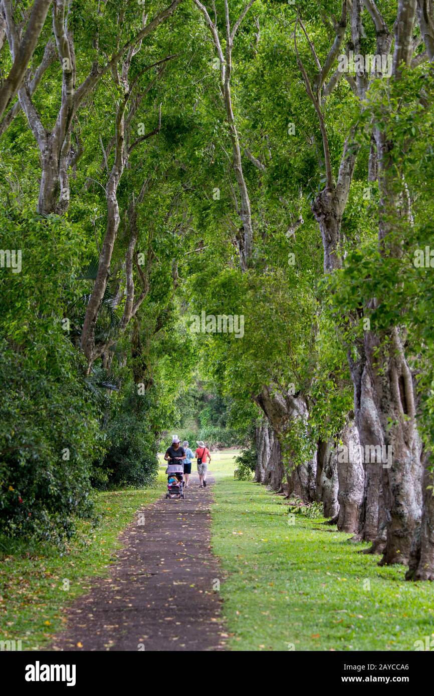 People walking on a trail hi-res stock photography and images - Alamy