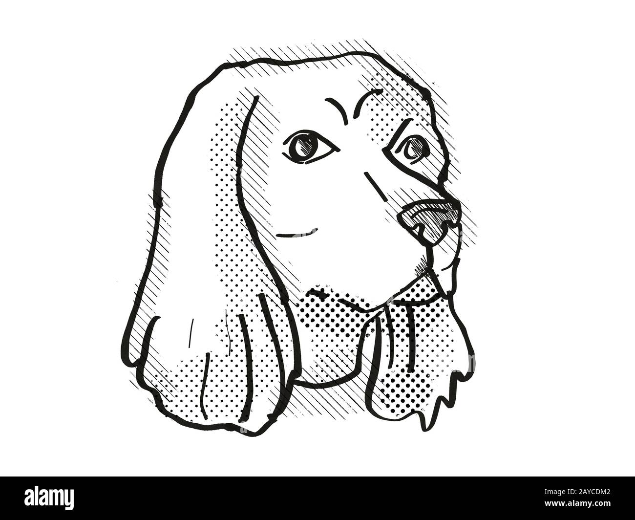 Cocker Spaniel Dog Breed Cartoon Retro Drawing Stock Photo
