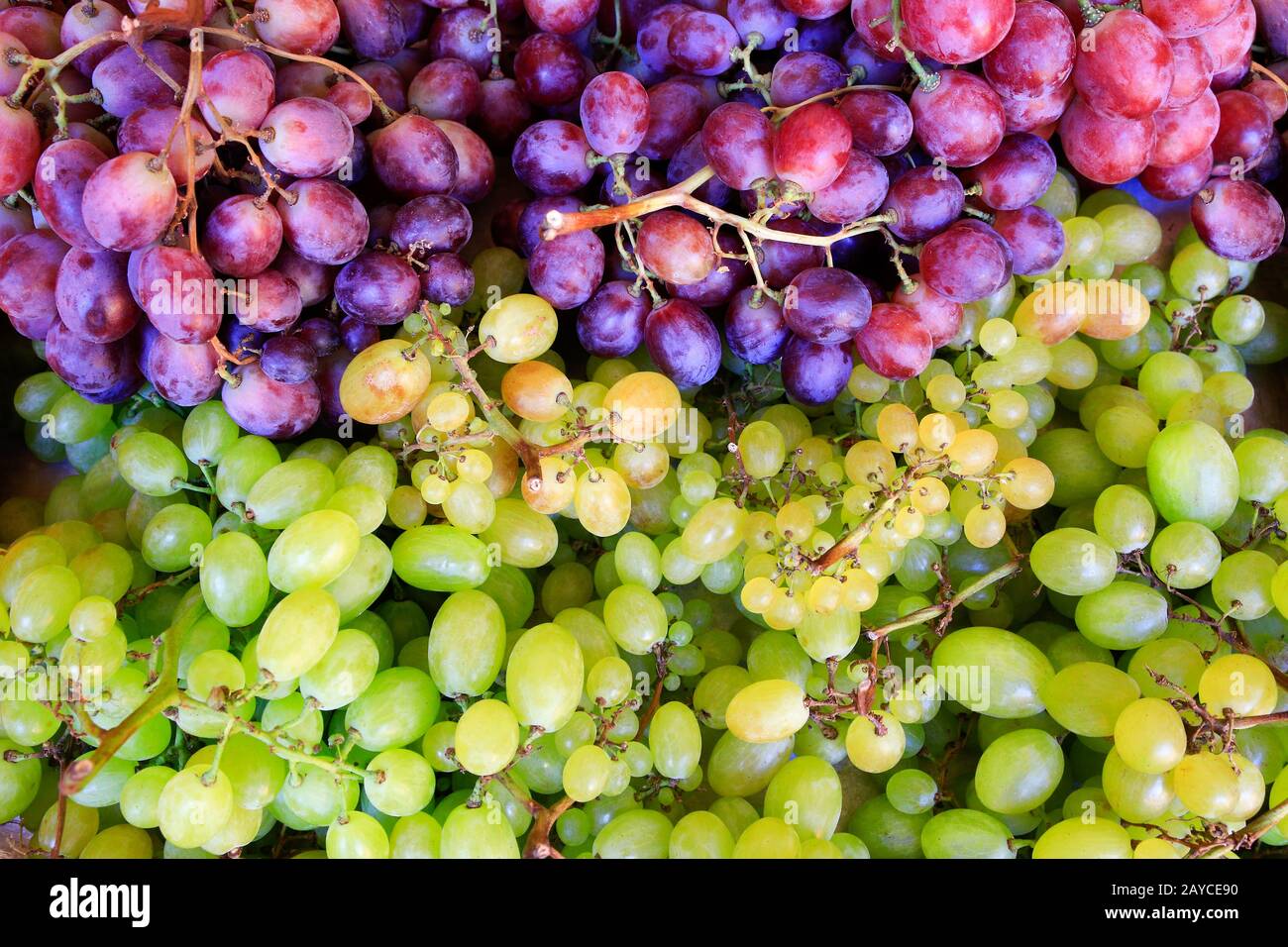 Blue and white grape bunches at market Stock Photo