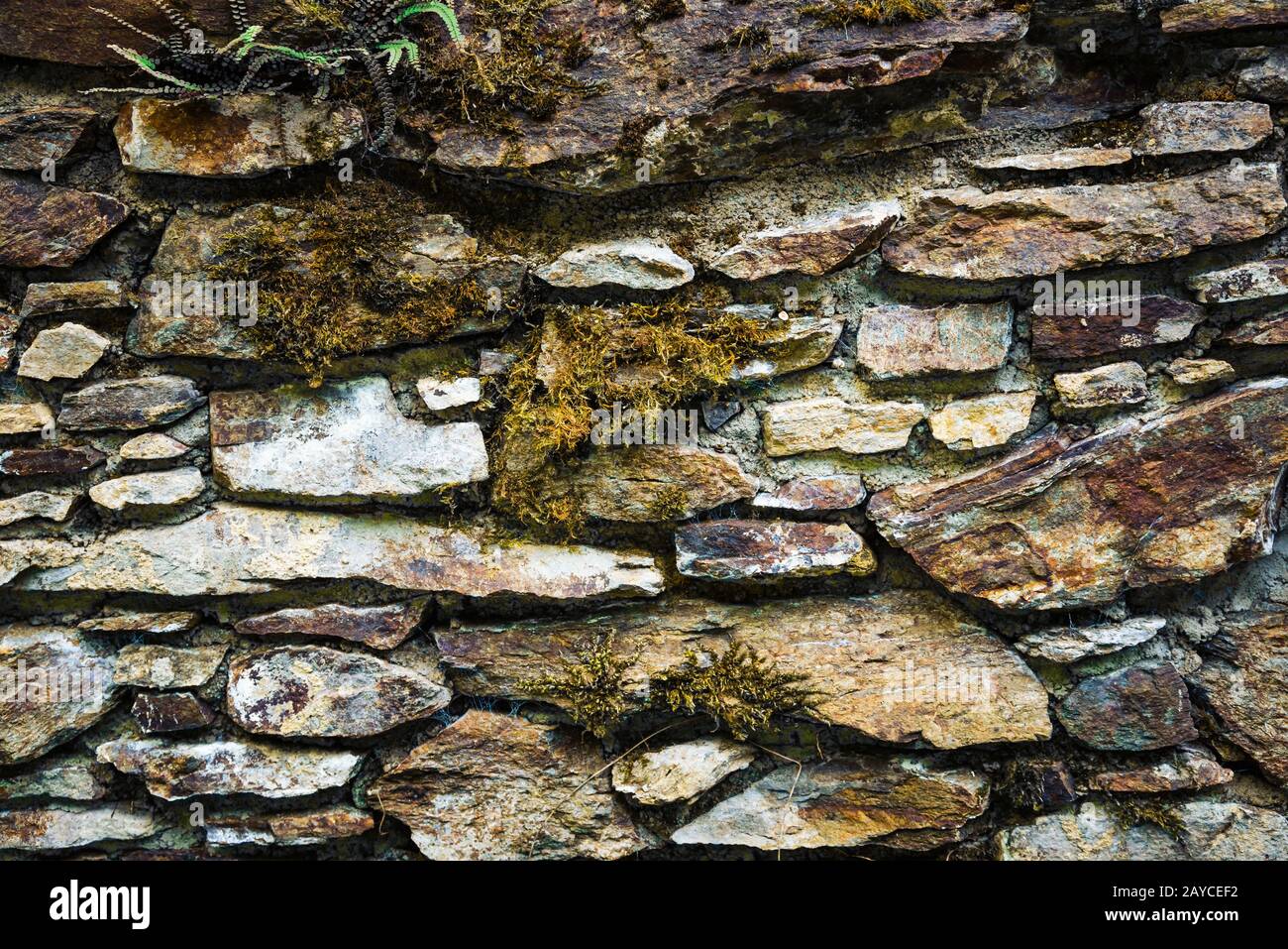 Stone wall with green moss background. Stock Photo