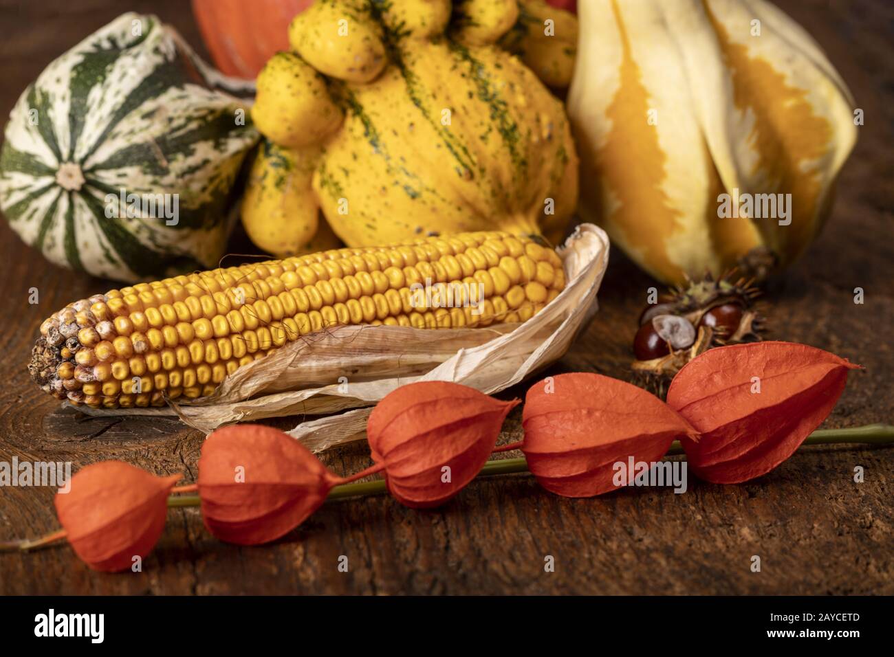 Still life of autumn fruits Stock Photo - Alamy