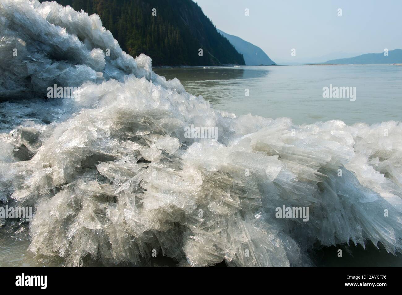 Melting ice is floating in the meltwater runoff at the Baird Glacier in Thomas Bay near Juneau, Tongass National Forest, Alaska, USA. Stock Photo