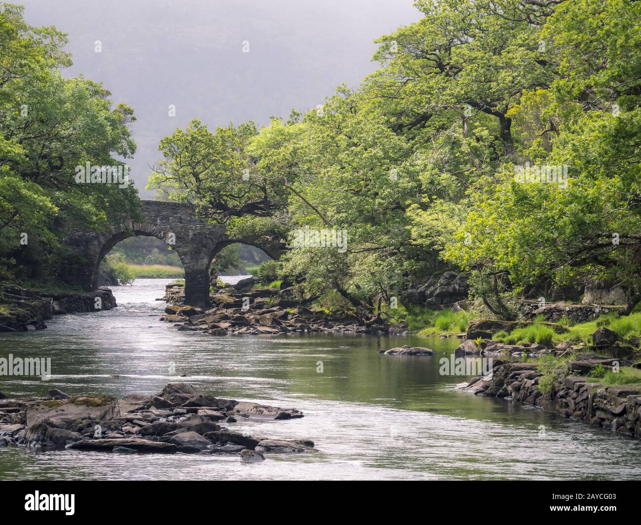 Lake at Killarney National Park Ireland Stock Photo Alamy