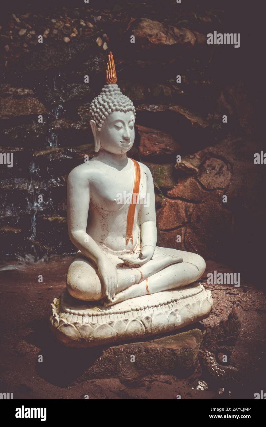 buddha-statue-in-jungle-wat-