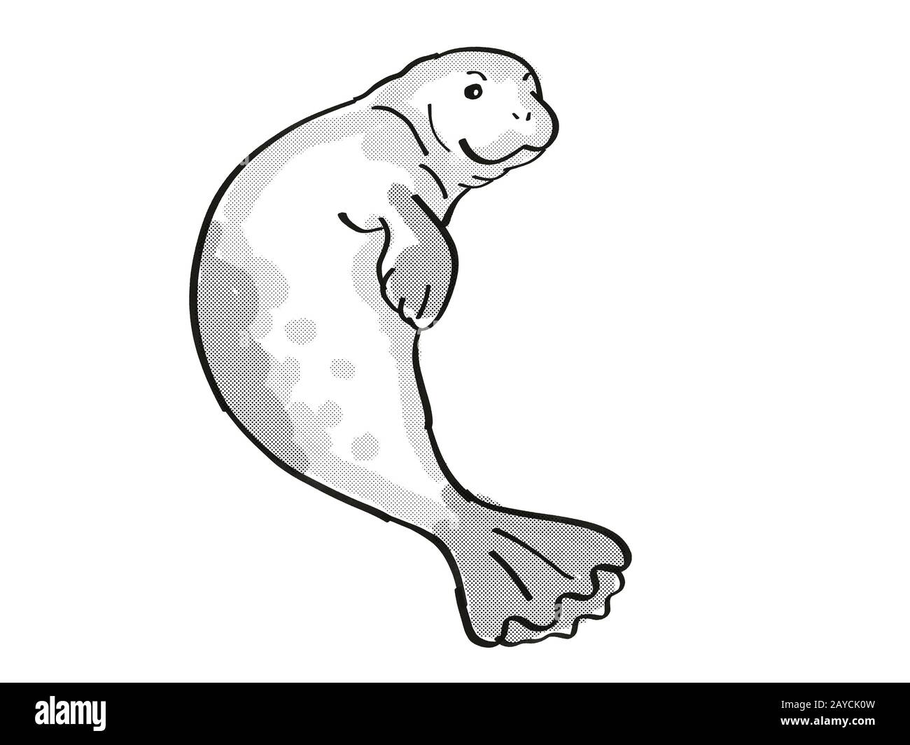 Hawaiian monk seal Endangered Wildlife Cartoon Mono Line Drawing Stock ...