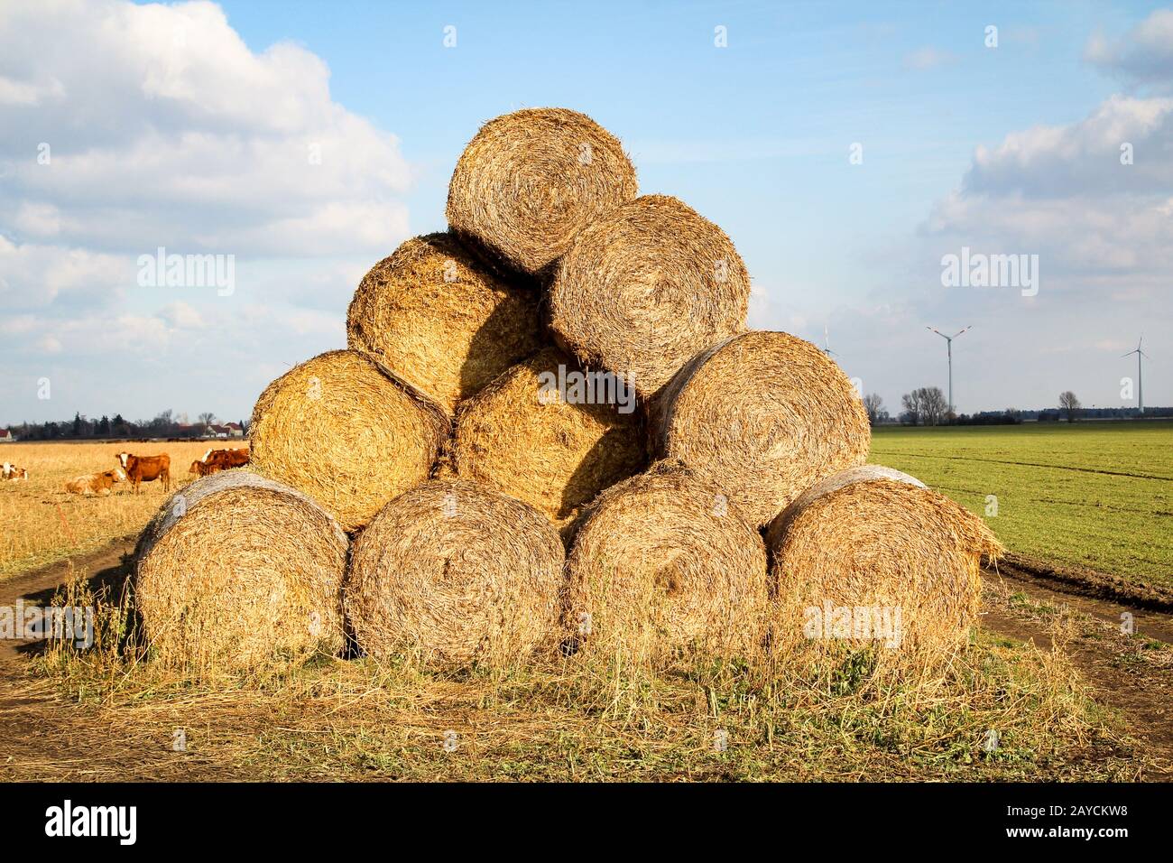 Straw bales stacked on the field at the end of summer Stock Photo - Alamy