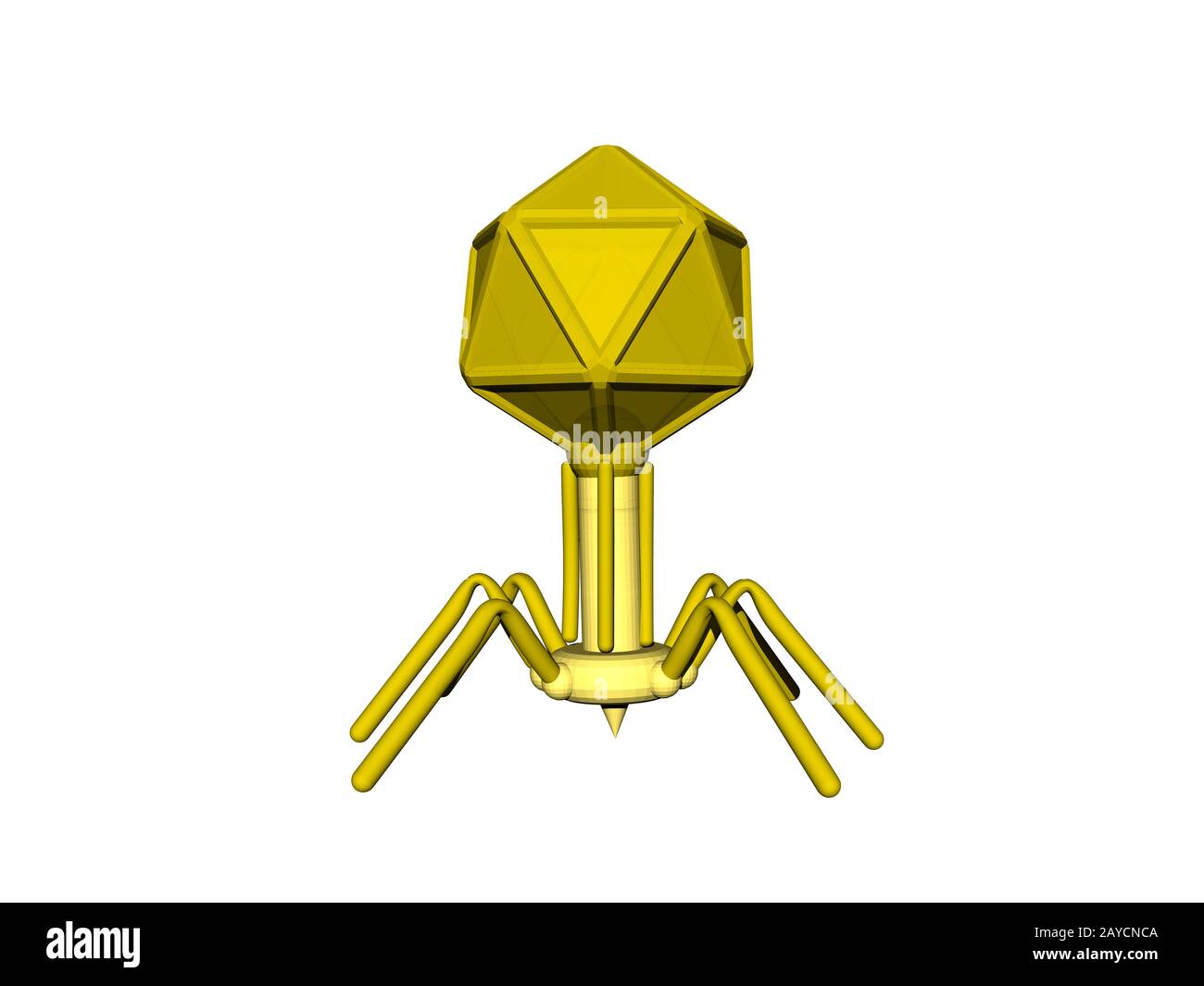 Bacteriophage as a virus against bacteria Stock Photo