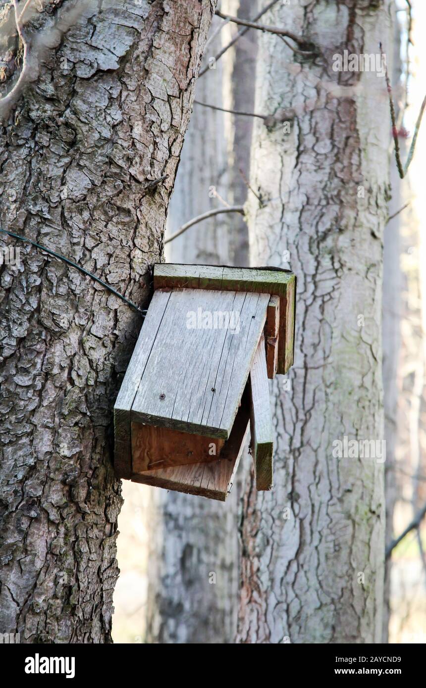 a nesting box hangs on a tree trunk Stock Photo