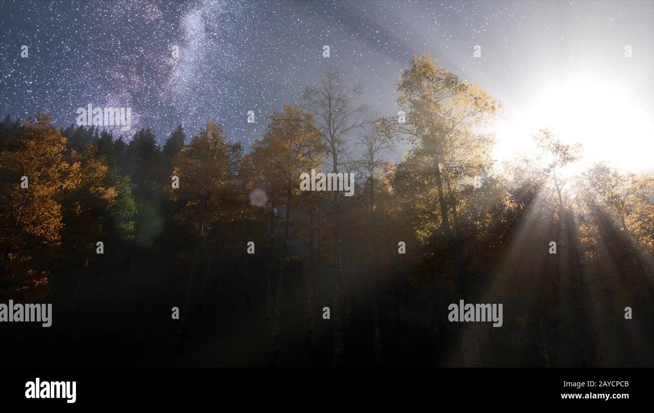 Starry night sky high resolution hi-res stock photography and images ...