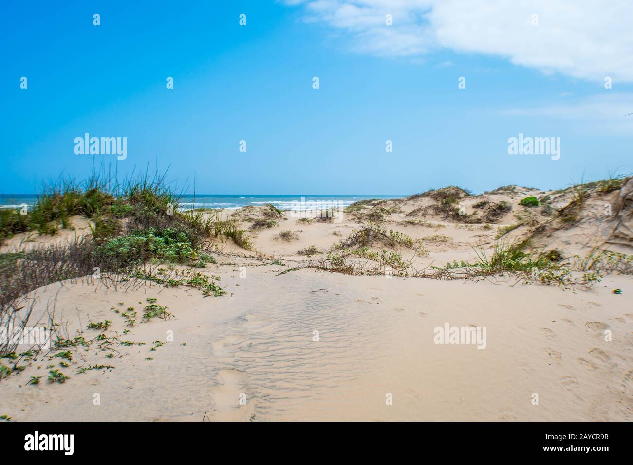 A beautiful soft and fine sandy beach along the gulf coast of South Padre Island, Texas Stock Photo