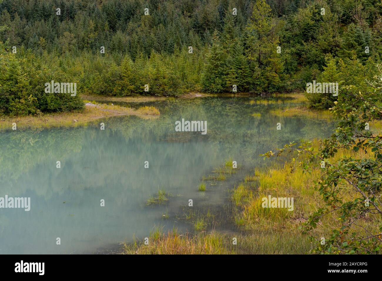 Small lake view hi-res stock photography and images - Alamy