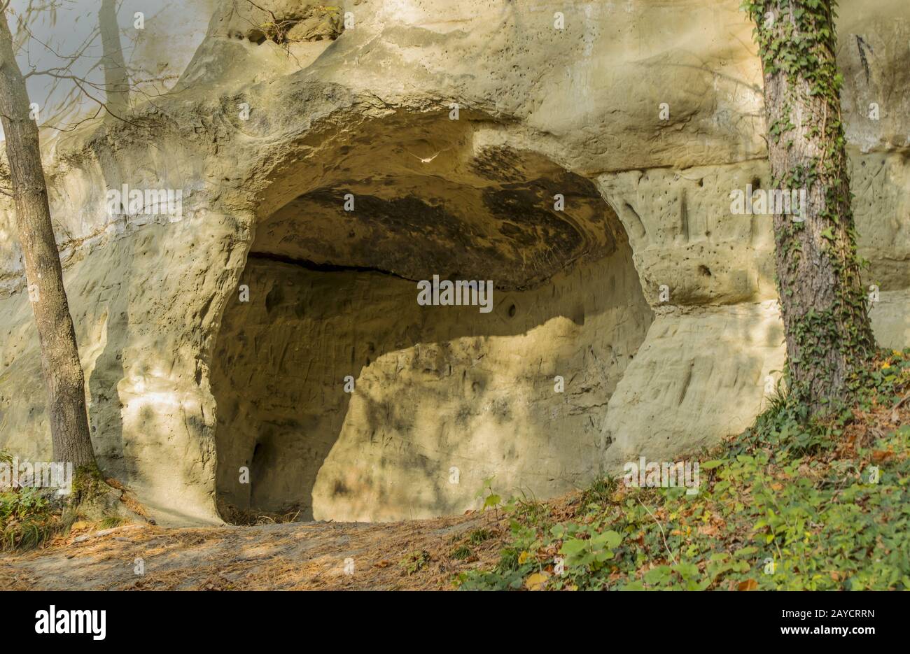 Sandstone cave near Sipplingen at the Lake Constance Stock Photo