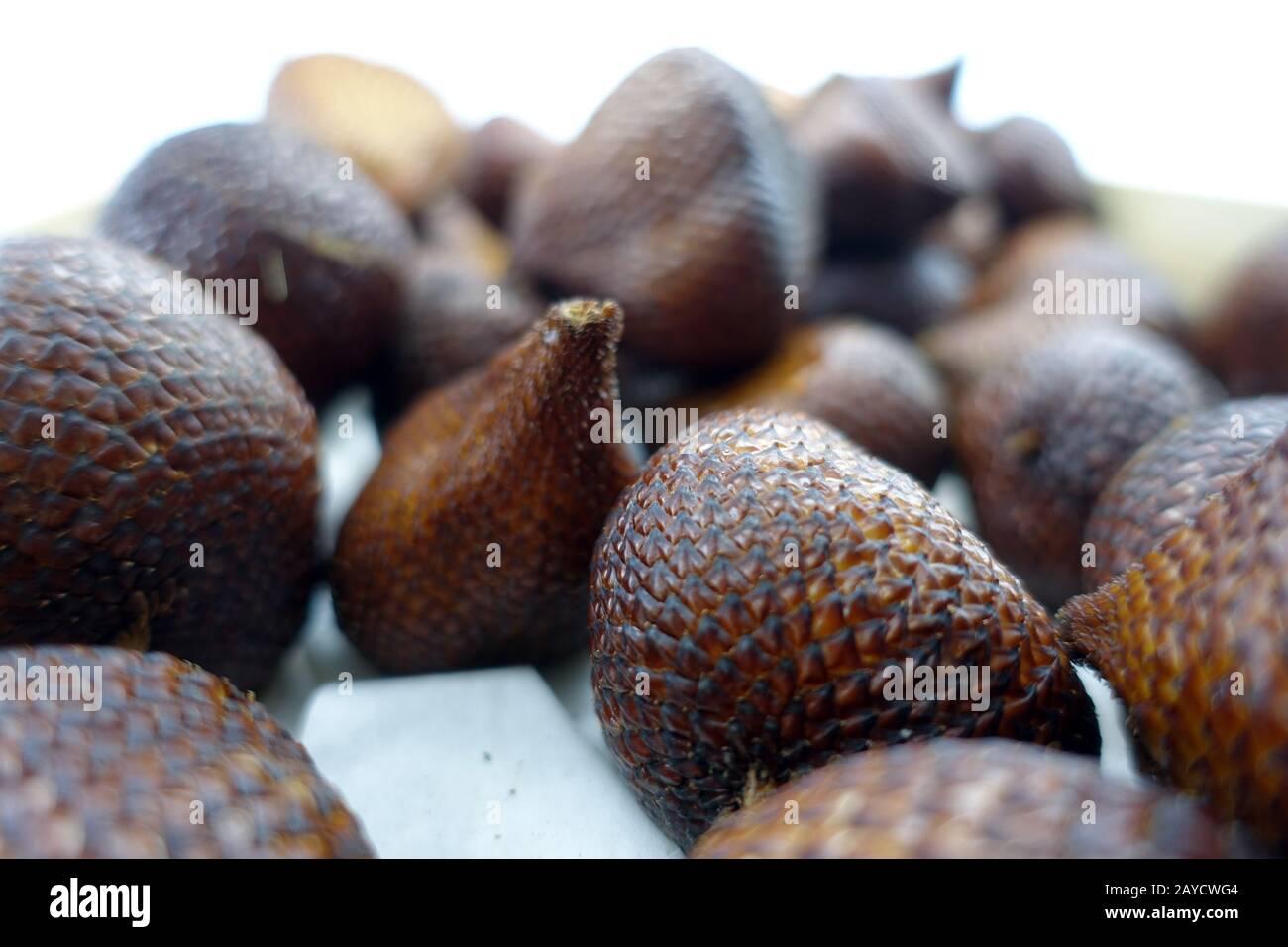 exotic snake fruit or salak fruit of salak palm (Salacca zalacca Stock