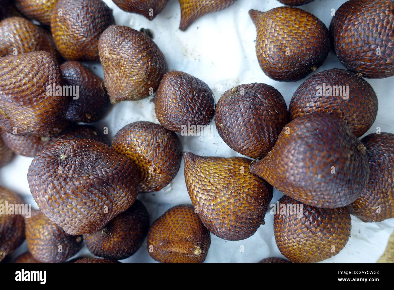 exotic snake fruit or salak fruit of salak palm (Salacca zalacca Stock