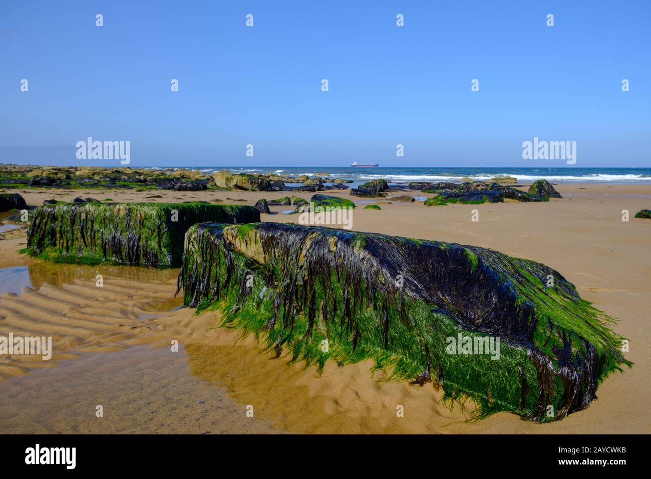 Tynemouth Long Sands on the North East Coast of England pictured on a