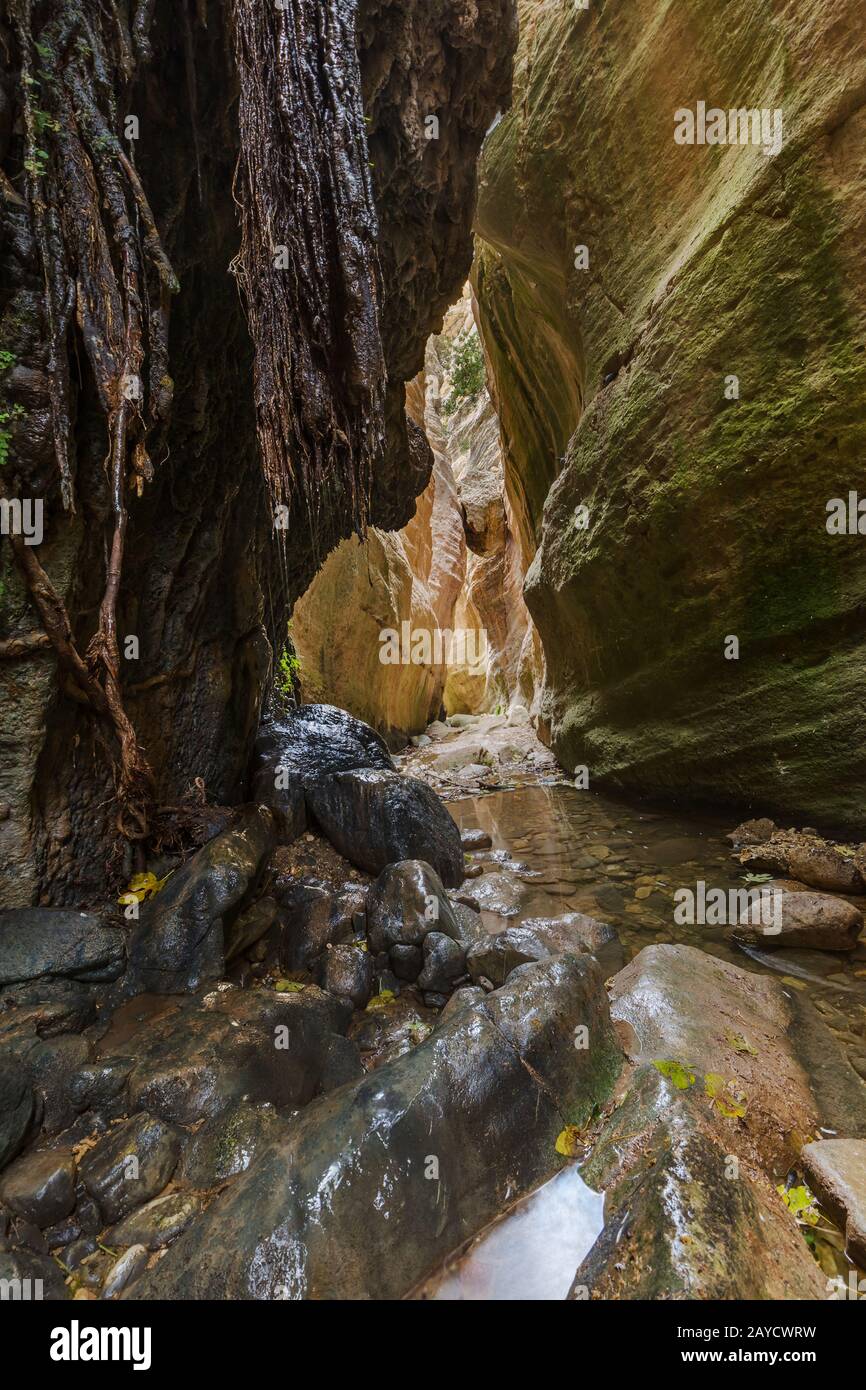Paphos cyprus water park hi-res stock photography and images - Alamy