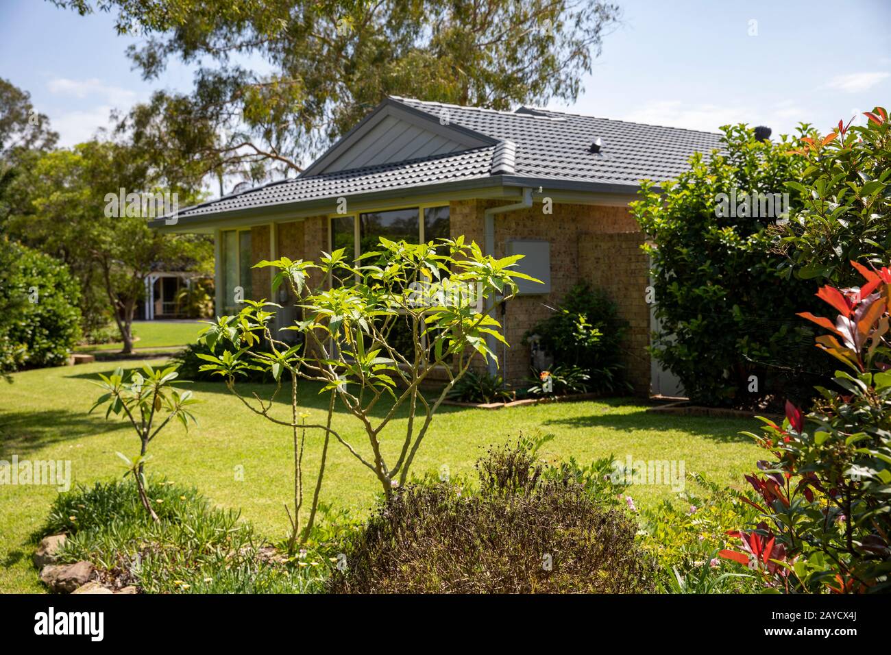 Australian garden at a home Mona Vale in Sydney,Australia, lawn and on a summers day Stock Photo Alamy