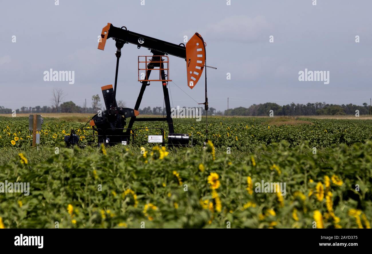 Oil and Gas Pump Jack Stock Photo Alamy