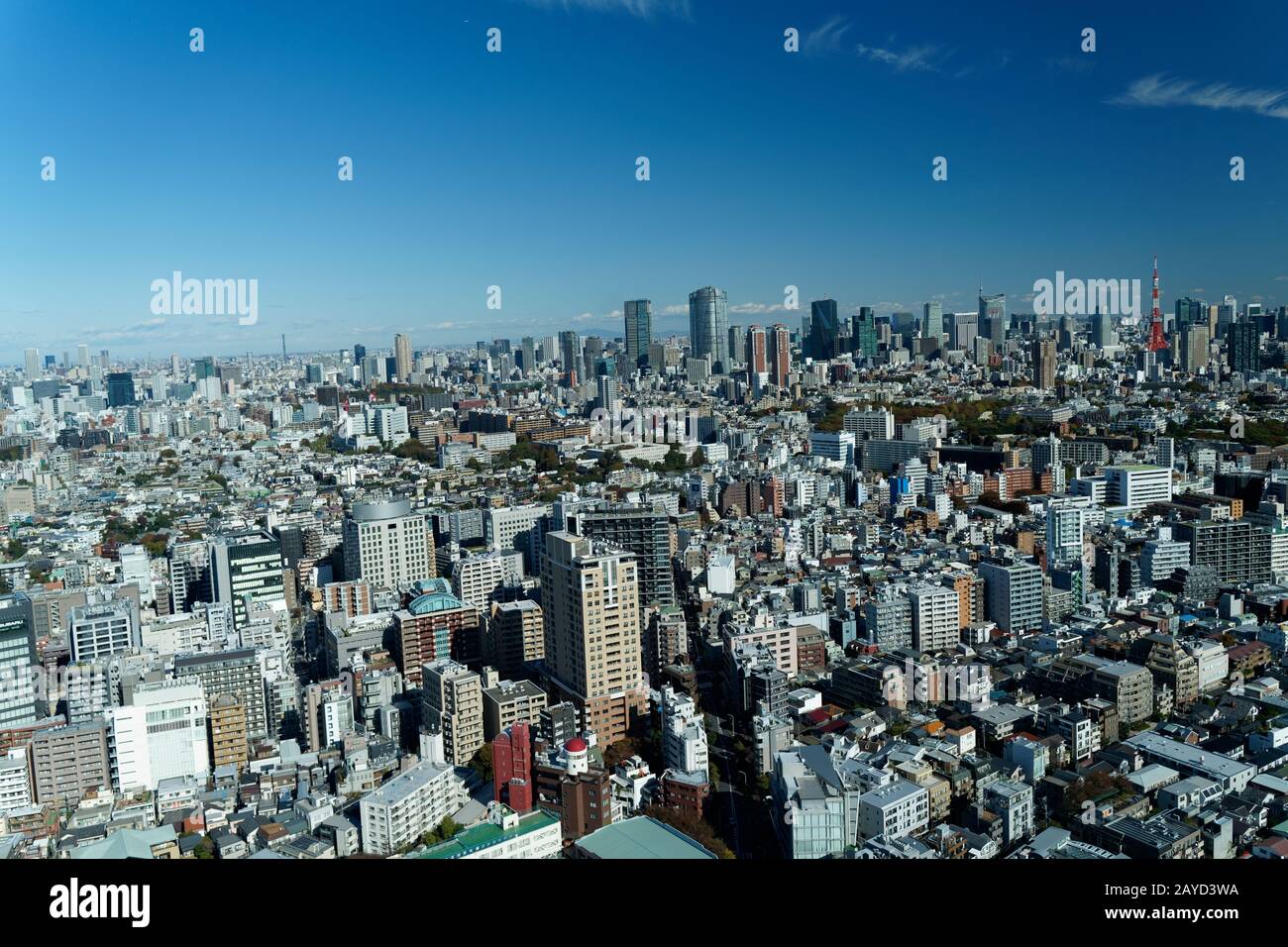 Tokyo city aerial view showing skyline of Tokyo, in morning in Japan ...