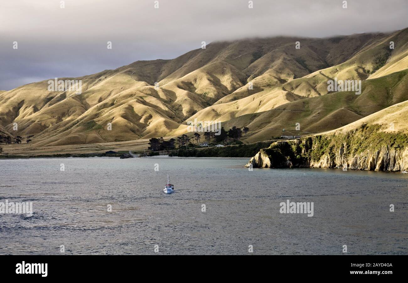 Ferry View Picton New Zealand Stock Photo