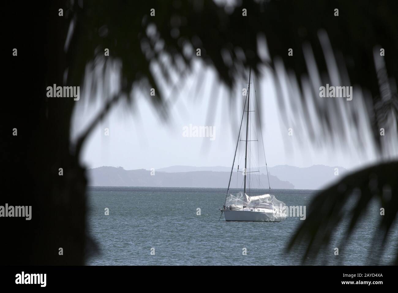 Stanmore Bay New Zealand Stock Photo Alamy
