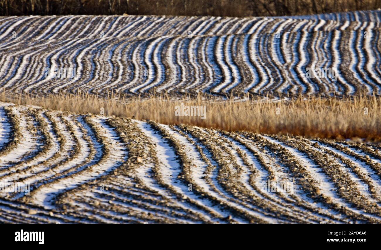 Ploughed Feild in Winter Stock Photo