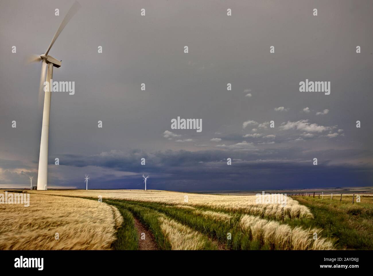 Wind Farm Gull Lake Saskatchewan Stock Photo Alamy
