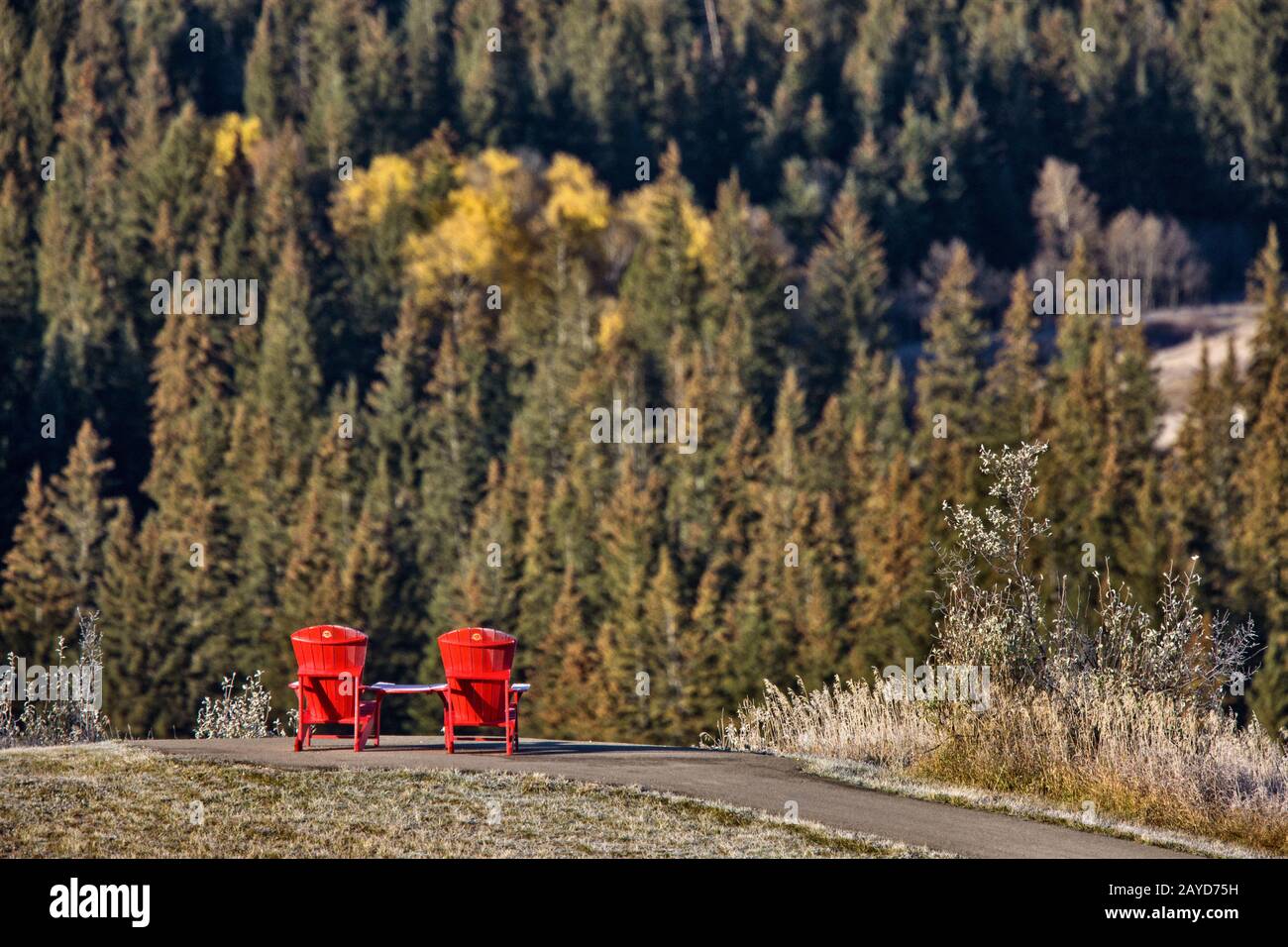 Cypress Hills First Snowfall Stock Photo
